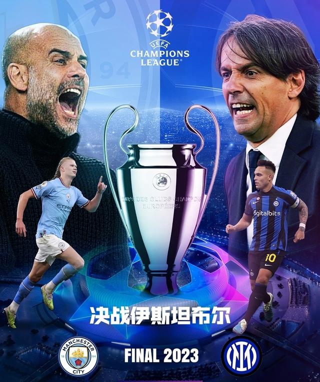 前锋比纳